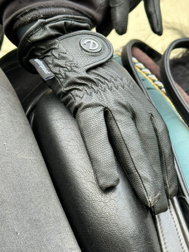 eQUEST GripPro Winter Edition Waterproof Riding Gloves – Black | Warm, Dry & Touchscreen