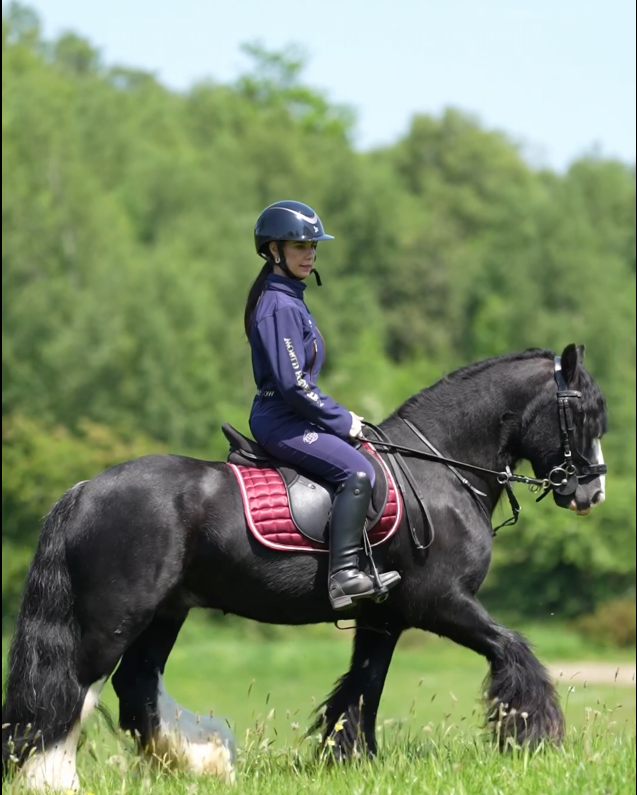 Equisuit® - Harvest Night Diamond Edition | Waterproof | Windproof | Equestrian Suit