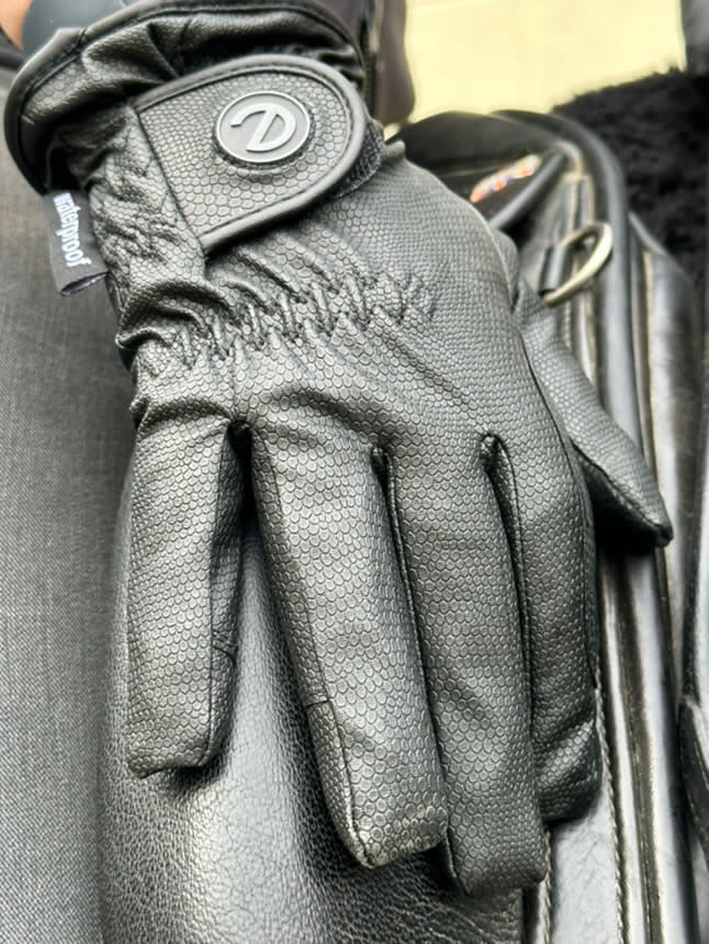 eQUEST GripPro Winter Edition Waterproof Riding Gloves – Black | Warm, Dry & Touchscreen
