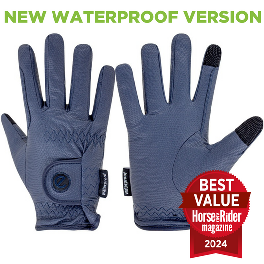 eQUEST GripPro Winter Edition Waterproof Riding Gloves – Blue | Warm, Dry & Touchscreen