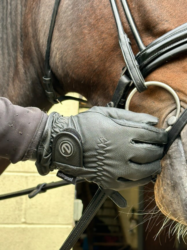eQUEST GripPro Winter Edition Waterproof Riding Gloves – Black | Warm, Dry & Touchscreen