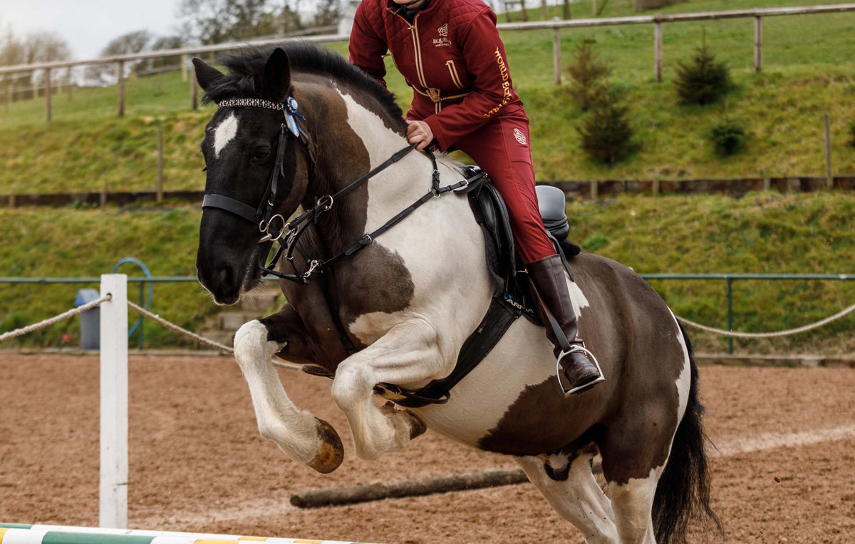 Equestrian All Weather Riding Suit