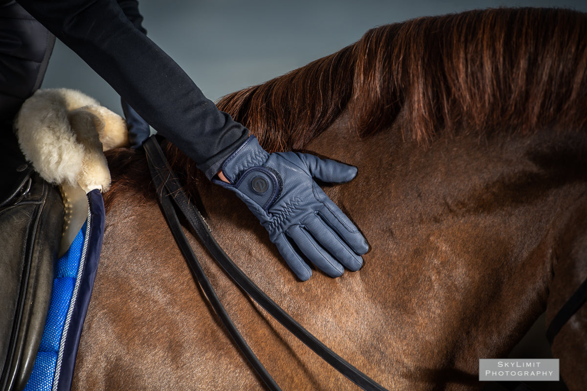 eQUEST GripPro Winter Edition Waterproof Riding Gloves – Blue | Warm, Dry & Touchscreen